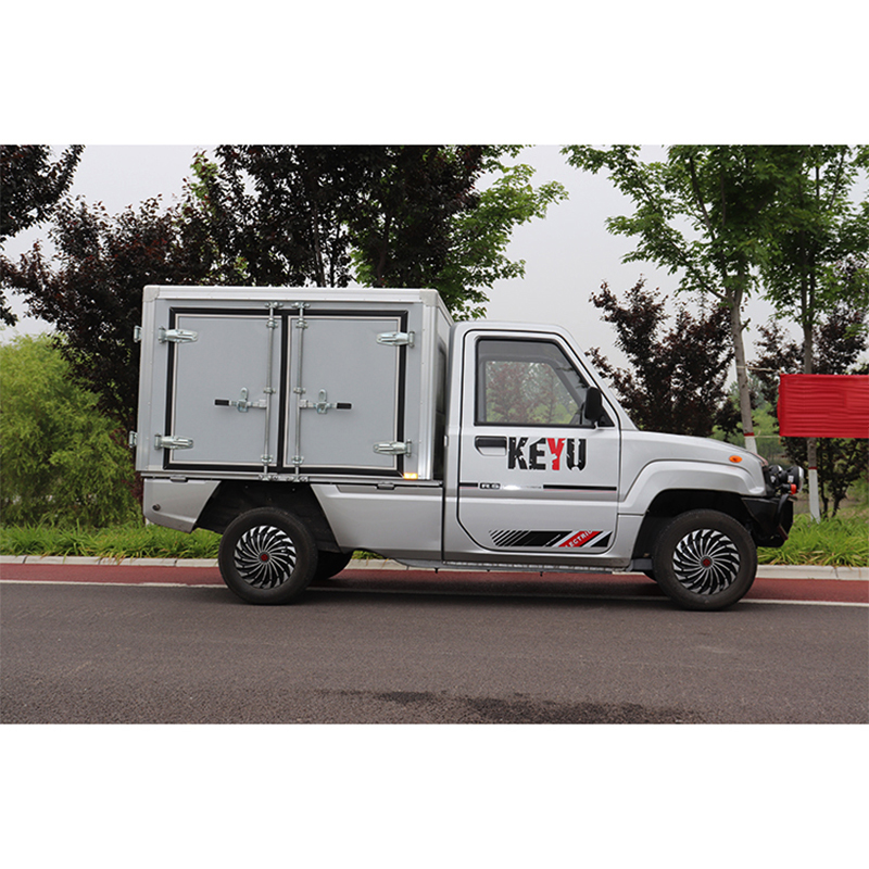 high quality Cheap 2 Seater Mini Electric car For Adults box cargo truck
