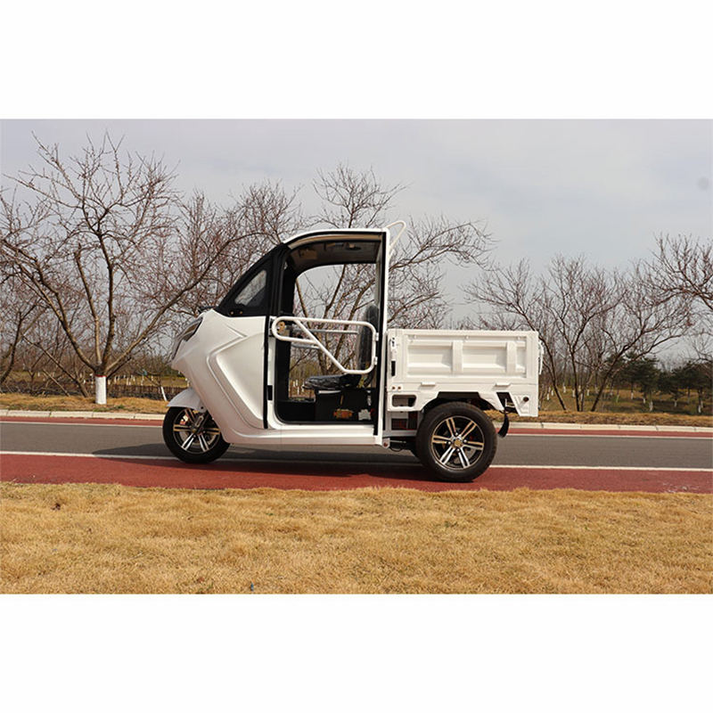 New Product Three Wheel Electric Cargo Tricycle