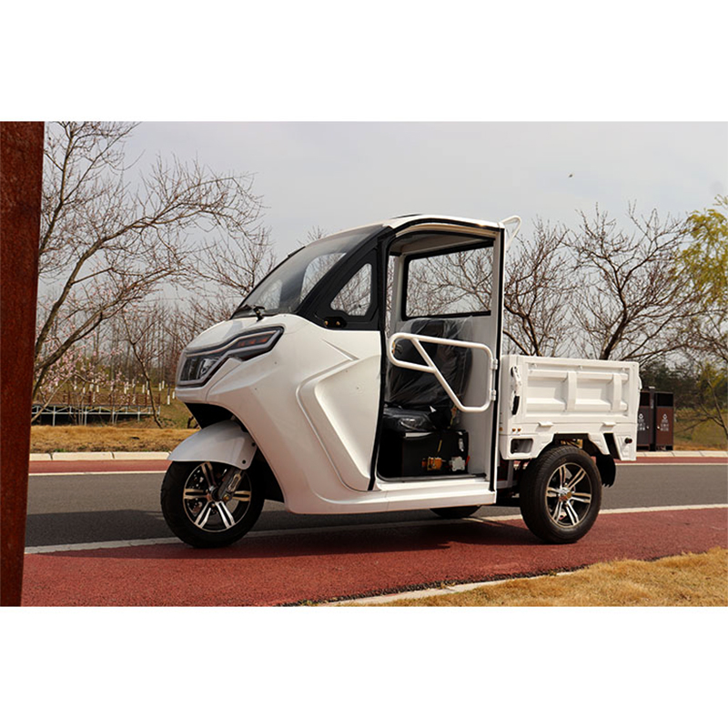 High Quality New product new electric delivery van cargo trike car