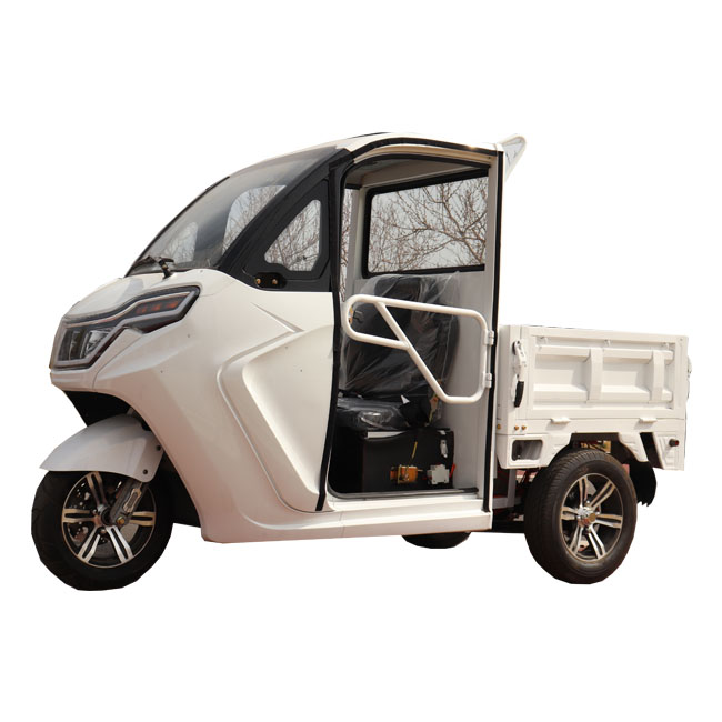High Quality New product new electric delivery van cargo trike car
