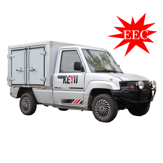 high quality Cheap 2 Seater Mini Electric car For Adults box cargo truck