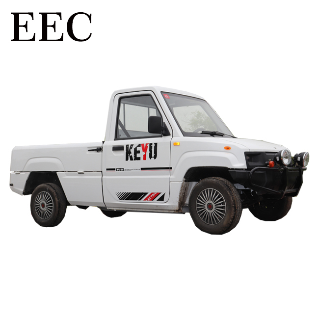 Good Performance 4 Wheels Mini Cars 2 Seater Electric Pickup cargo Truck