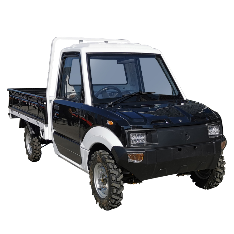 Good Quality Small Electric Vehicles 2 Seats 4 Wheels Mini Pickup Cargo Truck