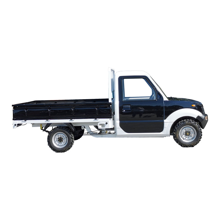 Electric Cargo Delivery Car Truck Pickup