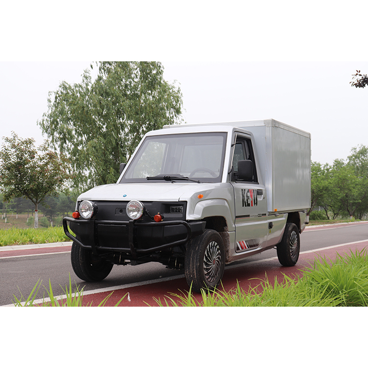 high quality two seat electric car China manufacturer cargo box truck