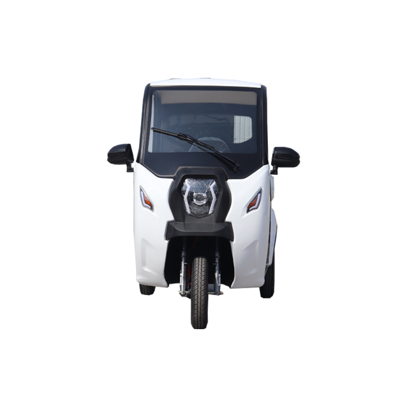 Low price electric tricycles 3 wheel electric cargo bike mini vehicle