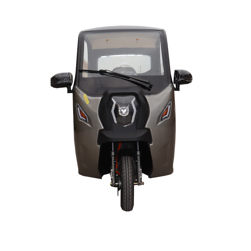 china Convenient driving new mini electric tricycle for sale