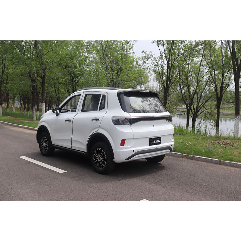 Adult 4 Wheel Electric New Car smart system Electric Cars Made In China