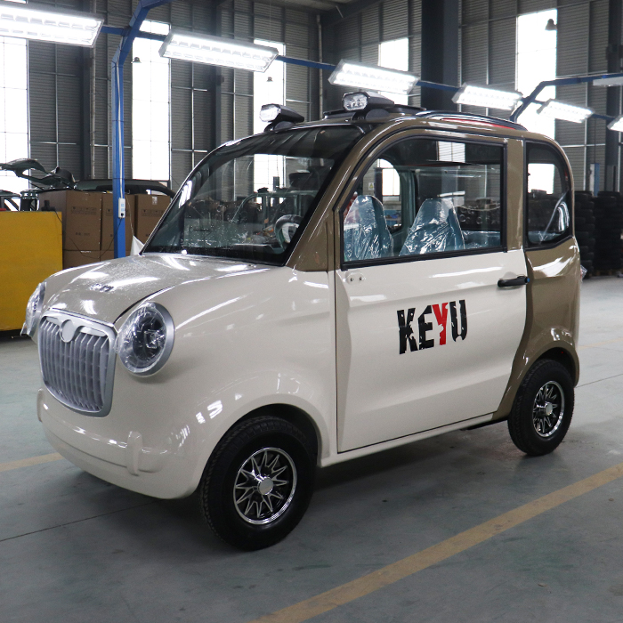 China Sell Large Space New Energy Adult Electric Car for Adult