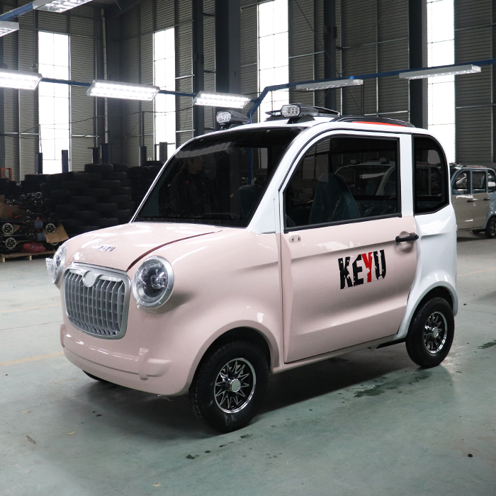 China Sell Large Space New Energy Adult Electric Car for Adult