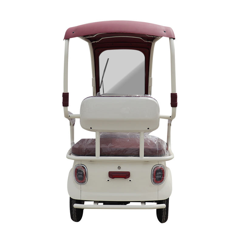 A9 Electric tricycle