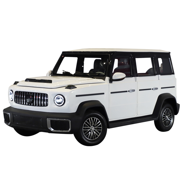 KEYU DGmodel Electric small car