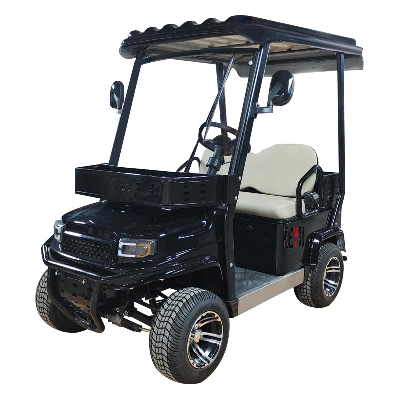 KEYU H9-2 model Electric small car